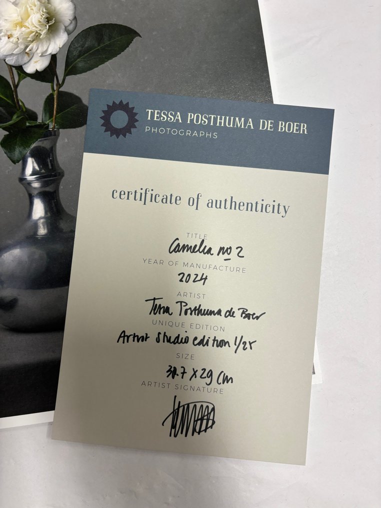 Tessa Posthuma de Boer - Camelia #2 #1.0