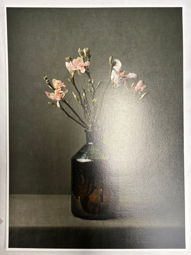 Tessa Posthuma de Boer - Msgnolia #6 #4.3