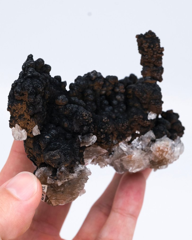 罕見產地鐘乳石針鐵礦 含石膏假晶 - 高度: 6.8 cm - 闊度: 11.2 cm- 244 g - (1) #4.3