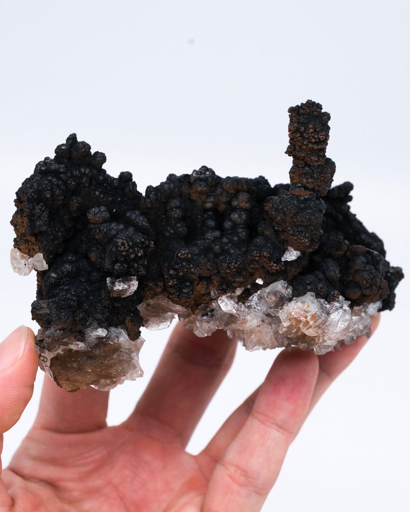 罕見產地鐘乳石針鐵礦 含石膏假晶 - 高度: 6.8 cm - 闊度: 11.2 cm- 244 g - (1) #3.2