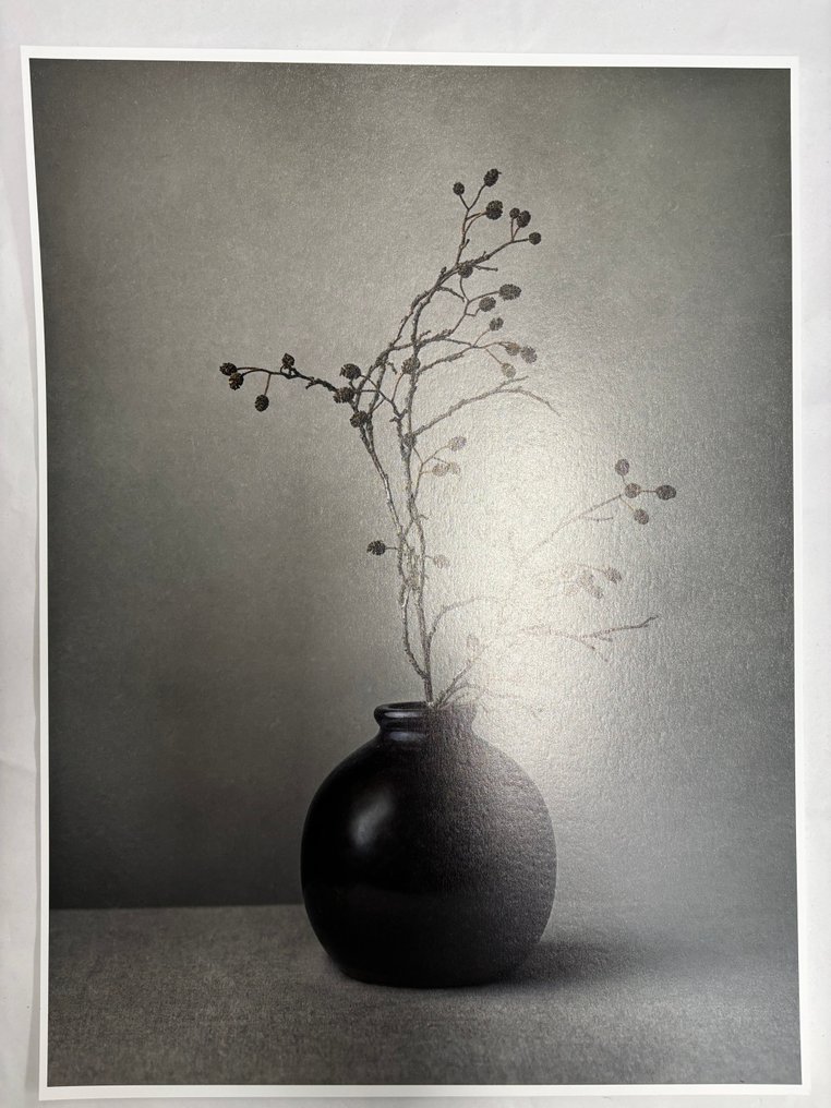 Tessa Posthuma de Boer - Small stories from the Wetlands no.4 #4.3