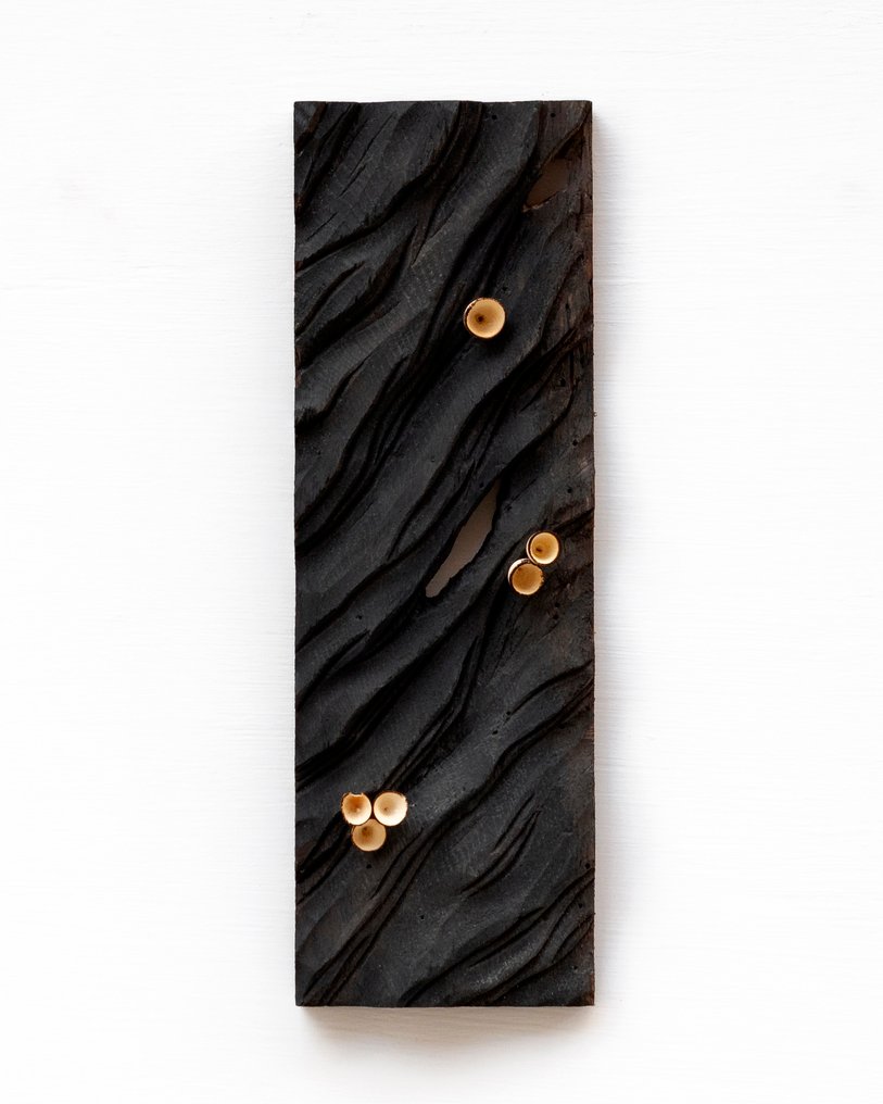 Riccardo Masini - Sculpture, Baikà 梅花 n.21 - Sei fiori | No reserve - 34 cm - Oak, Maple #1.0