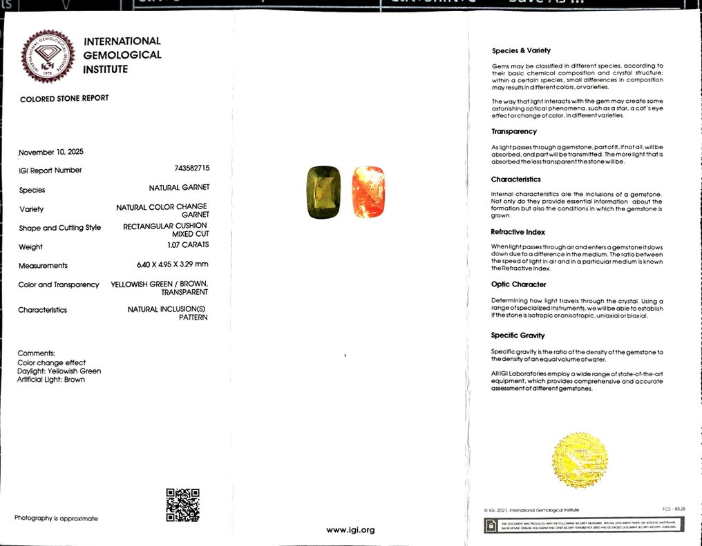 No reserve price Garnet - 1.07 ct - International Gemological Institute (IGI) - 100%Color Change #2.1