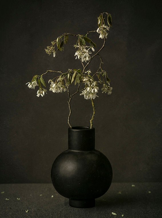 Tessa Posthuma de Boer - The beginning of burst #4 #1.0