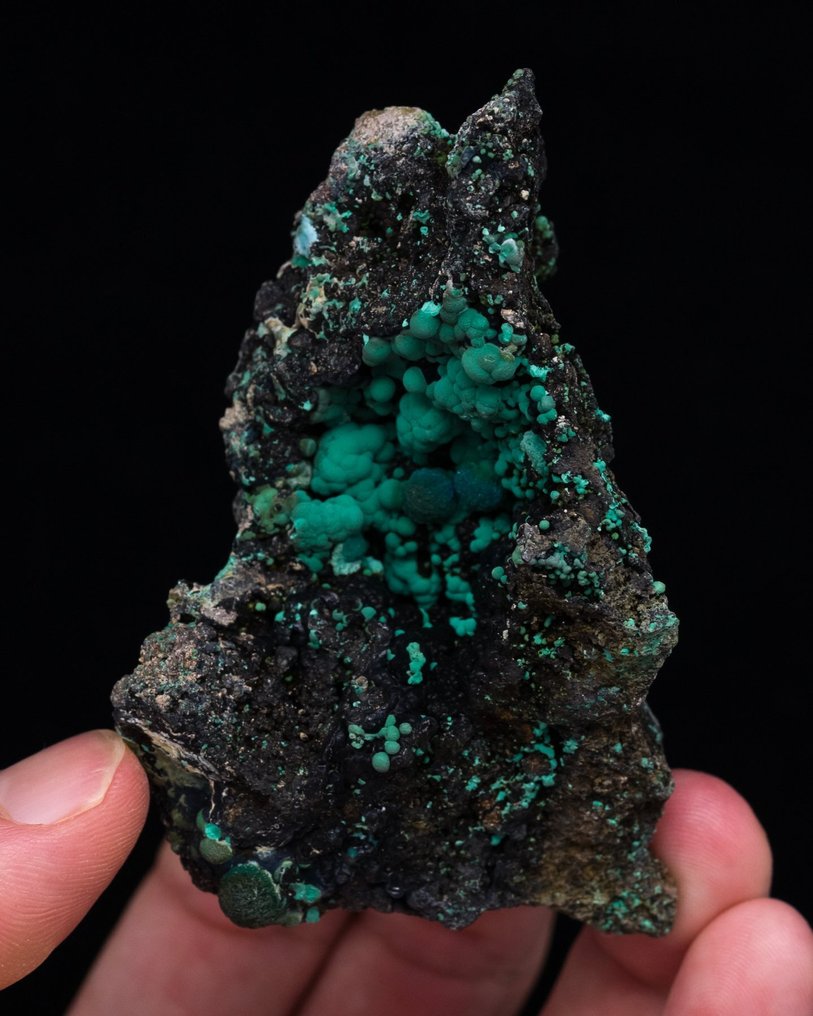 (American classic) botrioidale chrysocolla și malachite pe o matrice de goethit - Înălțime: 8.1 cm - Lățime: 5.1 cm- 100 g - (1) #3.2