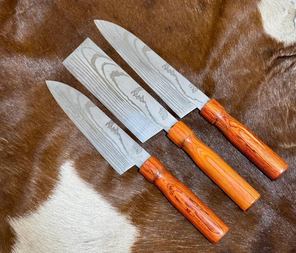 Μαχαίρι κουζίνας -  Σετ κουζίνας και μπάρμπεκιου (0013) - VG 10 Ατσάλι Λιγότερο ατσάλι και εξωτικά ξύλινα χειρολαβή. - Ιαπωνία - Σετ κουζίνας και μπάρμπεκιου #1.0