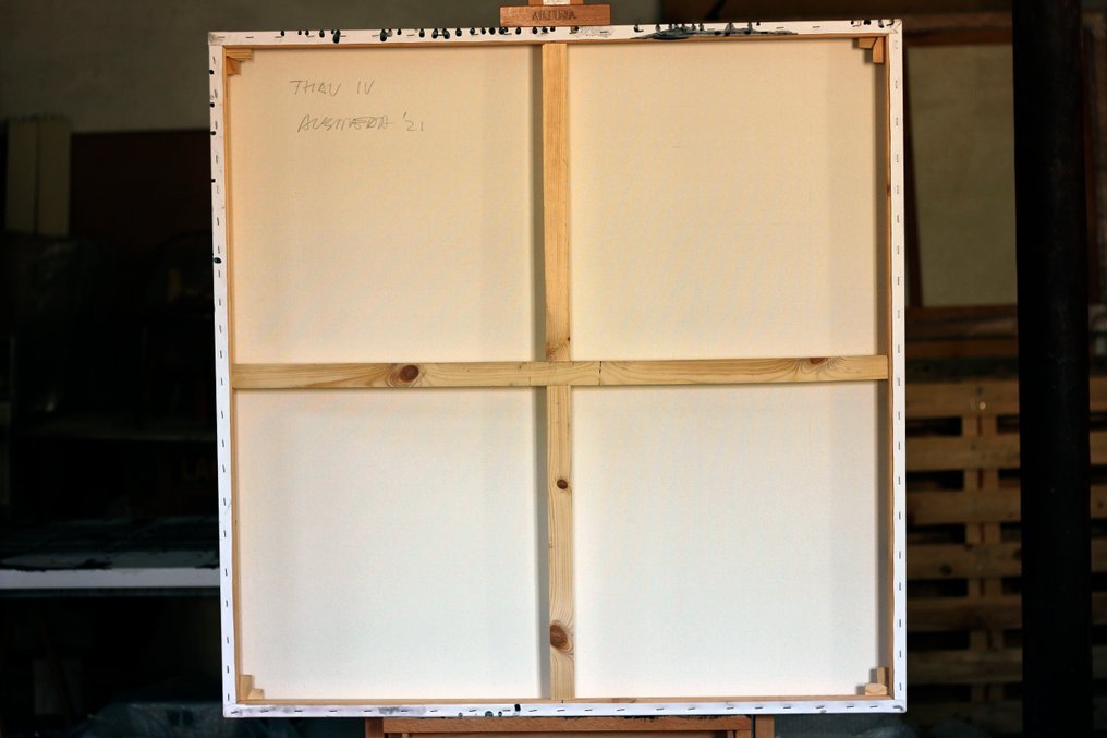 Aleix Albareda - THAU IV XL #4.3