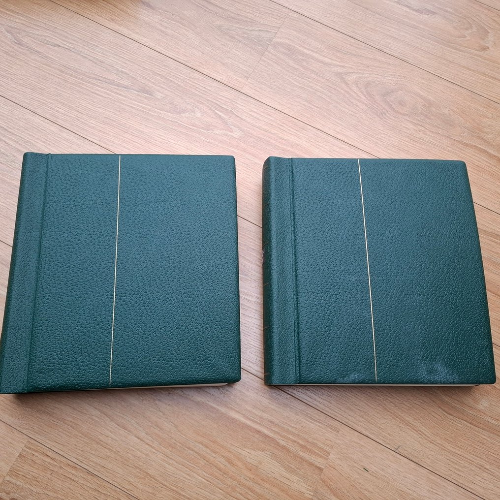 以色列 1958/1969 - 专门的邮票、块、册和FDC收藏，装订于2册Leuchtturm。 #1.0