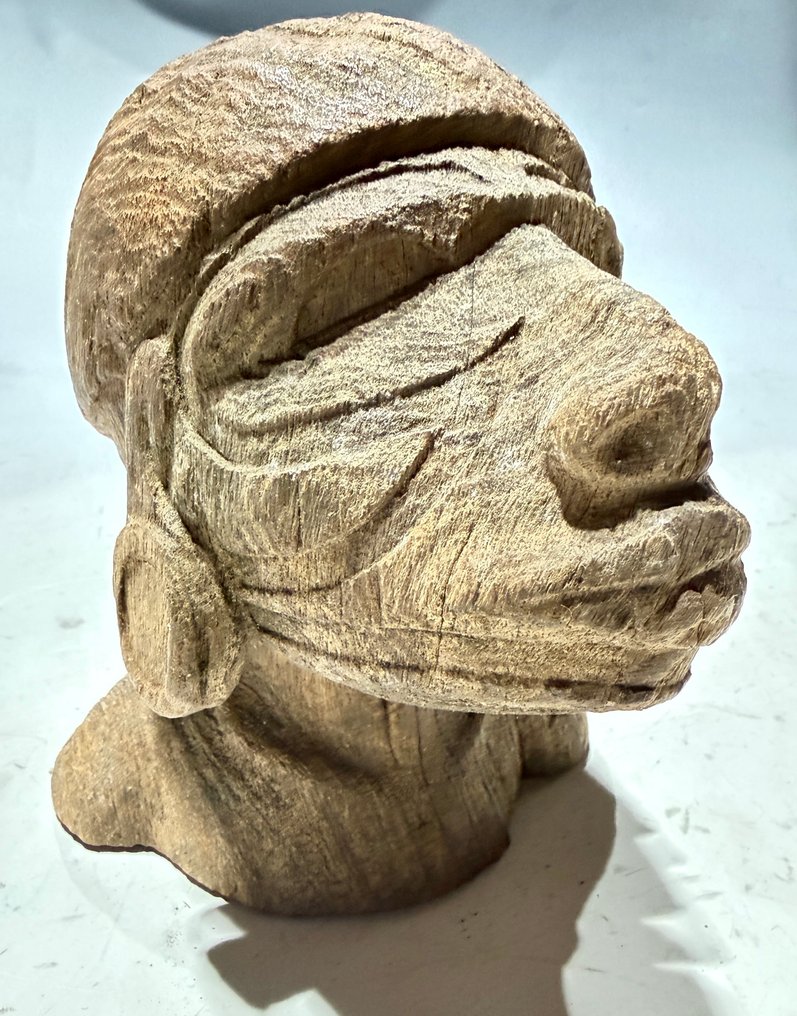 祖先头 - 新喬治島馬羅沃潟湖 - 所羅門群島 (沒有保留價) #1.0