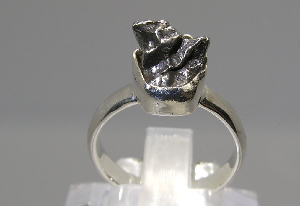 Campo del Cielo meteorite Crystal - Height: 26 mm - Width: 19 mm- 4.69 g - (1) #1.0