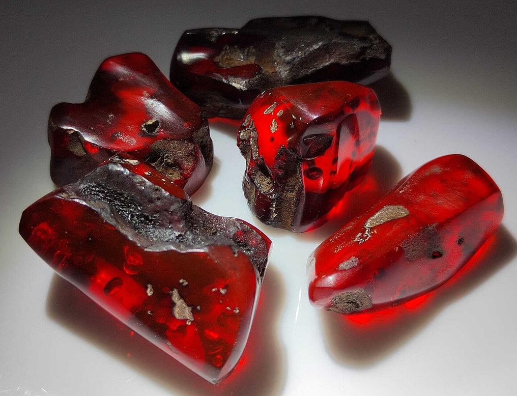 Dominican Amber!! High Quality - 175 carats - No Reserve Price - Amber (No reserve price) #1.0