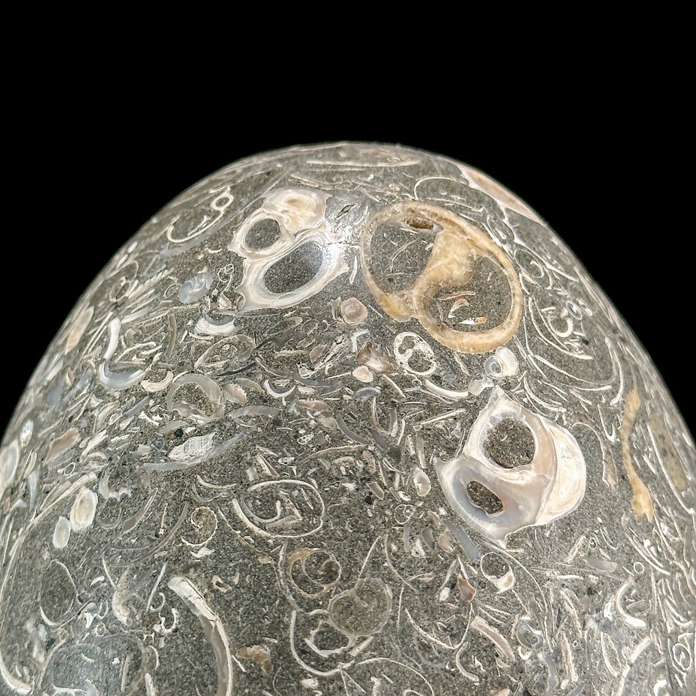 Dekorativt ornament (2) - NO RESERVE PRICE - Wonderful Pair of Turritella Egg-Shaped and Quartz Crystal Cluster on stand - Indonesia #3.2