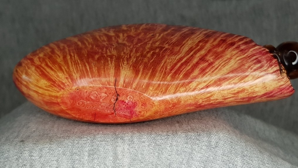 DON FLORIAN - 6759    FAN SHAPE - 没有保留价 - 管 - 荆棘木 #3.2