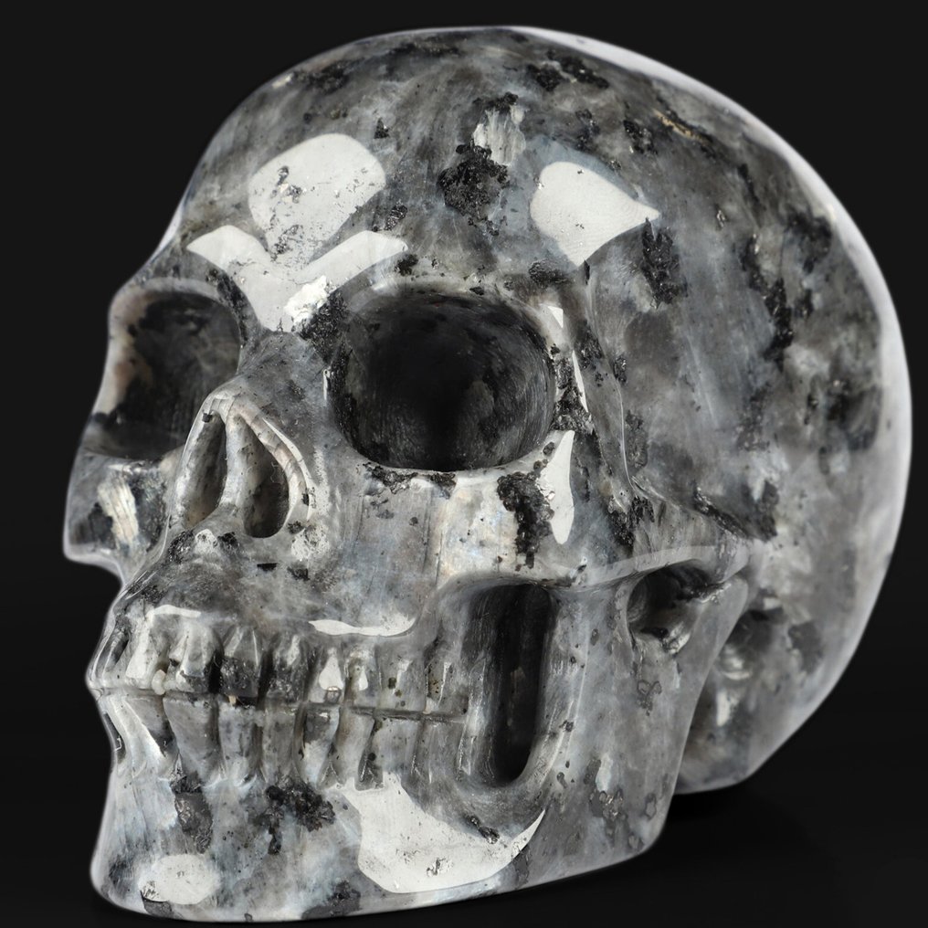 Teschio di Larvikite cielo stellato 483 g Messa a terra - Stabilità - Connessione 8,8 x 5,9 x 6,6 cm Teschi - Altezza: 8.8 cm - Larghezza: 5.9 cm- 483 g #3.2