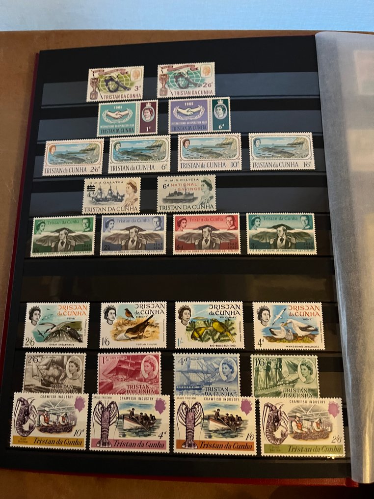 特里斯坦达库尼亚 1952/2014 - 没有趣味的动机 #3.2