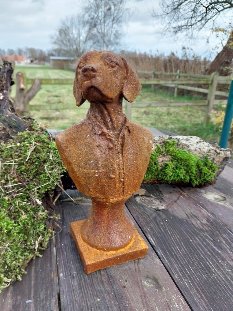 Statue, statue of a dog in costume in cast metal - 26 cm - Fer #3.2