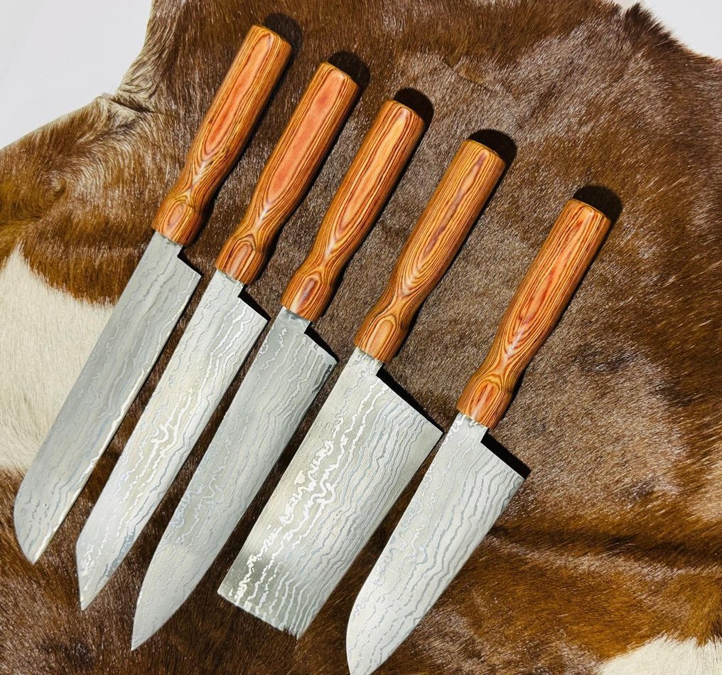 Μαχαίρι κουζίνας - Σετ κουζίνας και ψησίματος (0075) - Vg10 Ατσάλι Λιγότερο Ατσάλι και Έξω από τα Συνηθισμένα Ξύλινη Λαβή. - Ιαπωνία - Σετ κουζίνας και μπάρμπεκιου #4.3