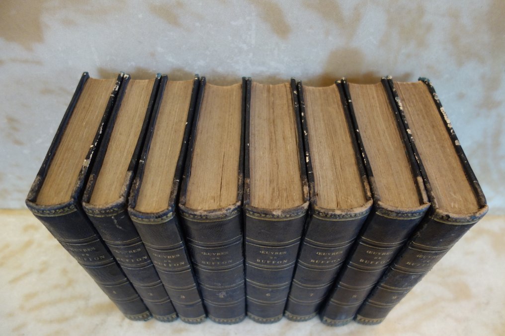 Buffon - Oeuvres Complètes avec les Suppléments - 1835 #4.3