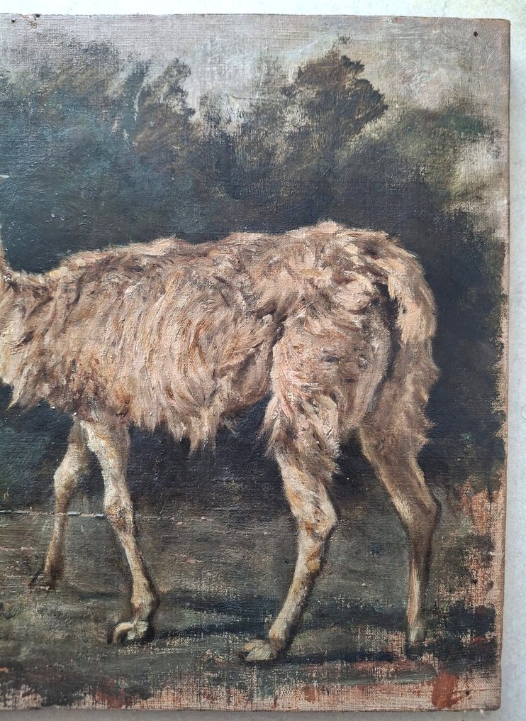 Giovanni Lomi (1889-1969) - Salita di Santa Rosa #2.1