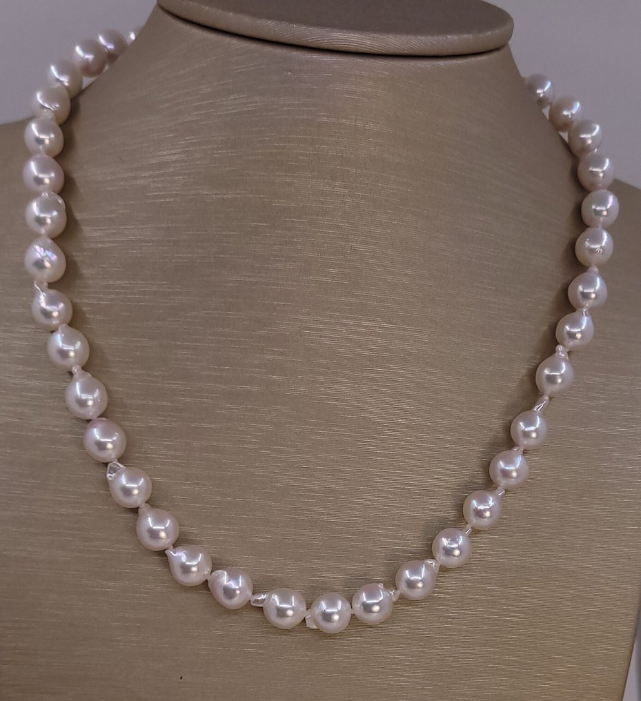 没有保留价 - 项链 8x8.5毫米 Akoya 珍珠 #4.3