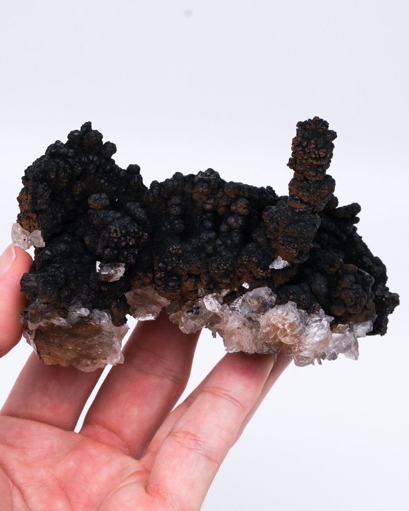 罕見產地鐘乳石針鐵礦 含石膏假晶 - 高度: 6.8 cm - 闊度: 11.2 cm- 244 g - (1) #1.0