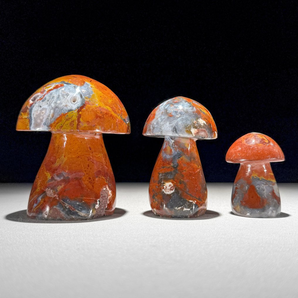 NO RESERVE PRICE - Wonderful set of 3 rough Red MaliganoJasper Mushrooms-Shaped- 1300 g - (1) #1.0