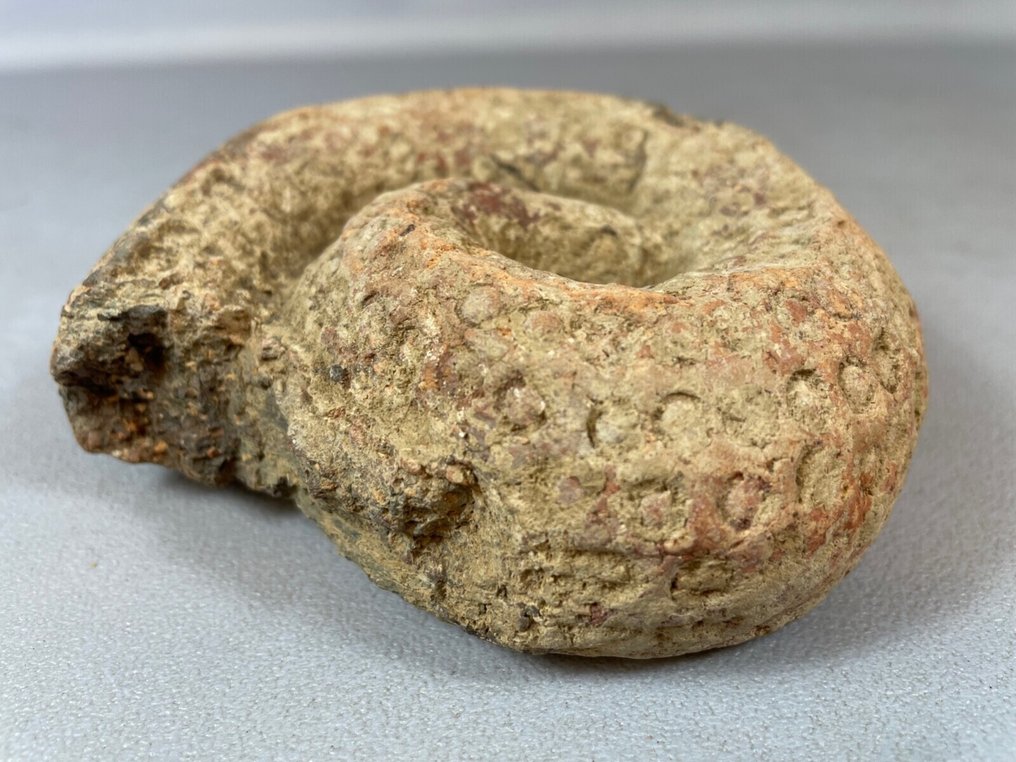 马里陶土杰内蛇 #1.0