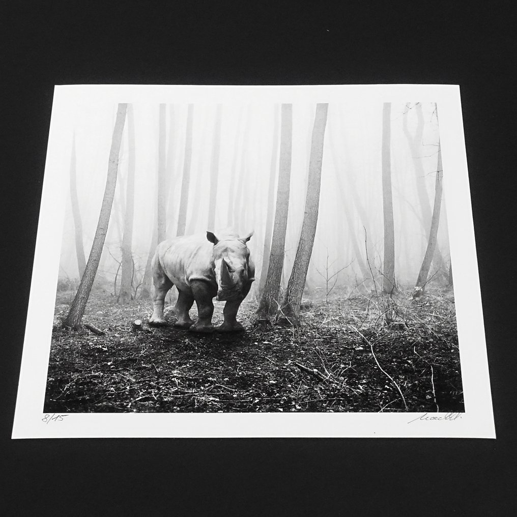 Frank Machalowski - tierwald#15 #4.3