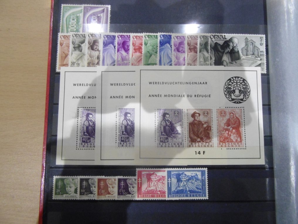 比利時  - 全部完整系列的批发，非常适合转售或零售。 #1.0