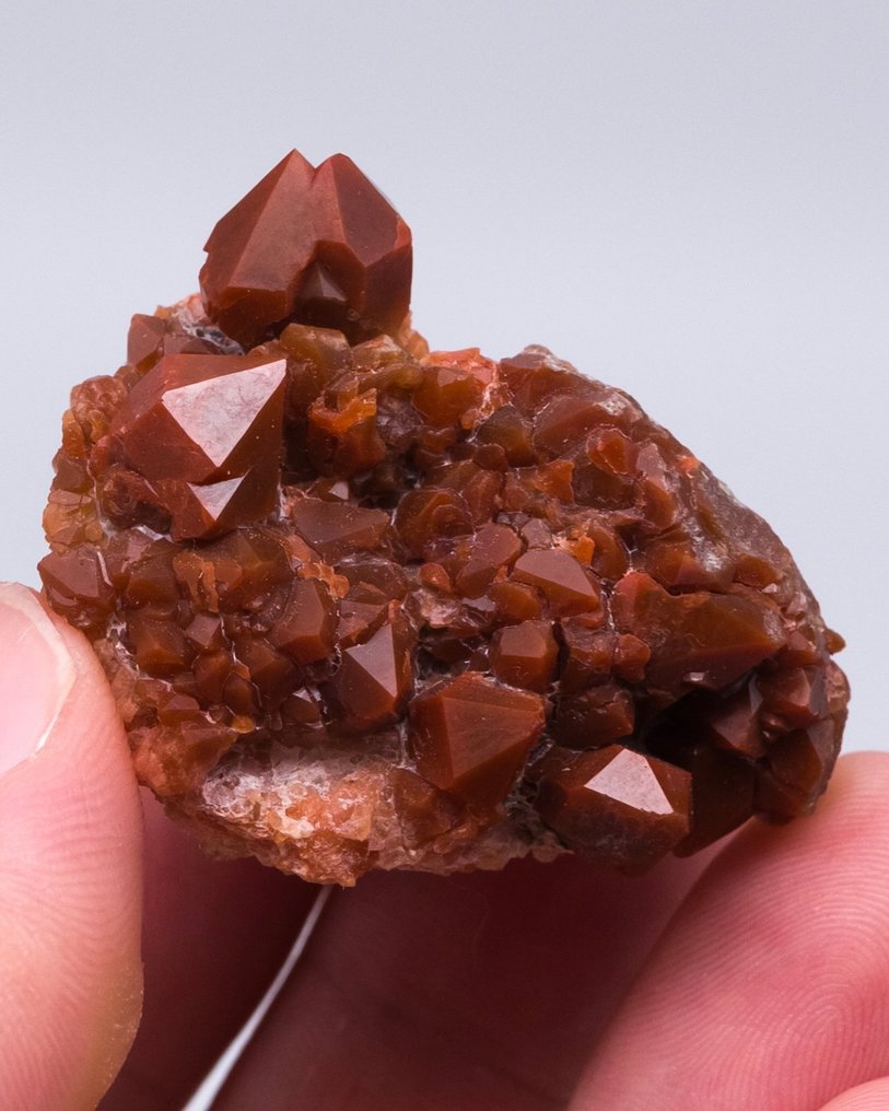 ΘΕΑΜΑΤΙΚΟΣ ΧΑΛΑΖΙΑΣ var.Jacinto de Compostela σε γύψο - Ύψος: 3.2 cm - Πλάτος: 3.5 cm- 26 g - (1) #1.0