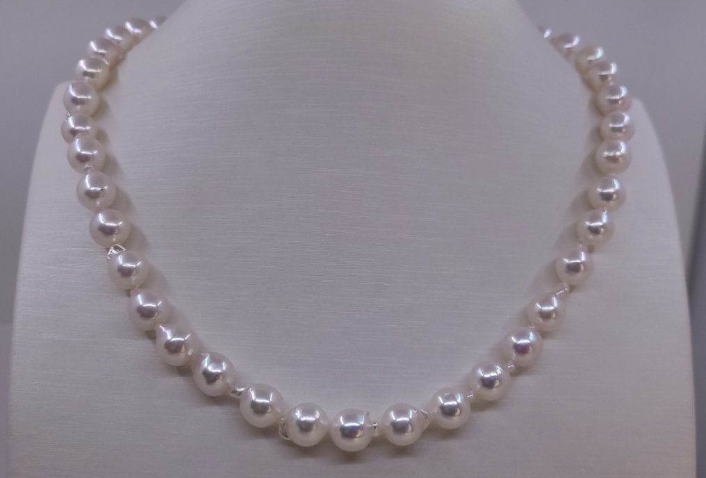 没有保留价 - 项链 8x8.5毫米 Akoya 珍珠 #1.0