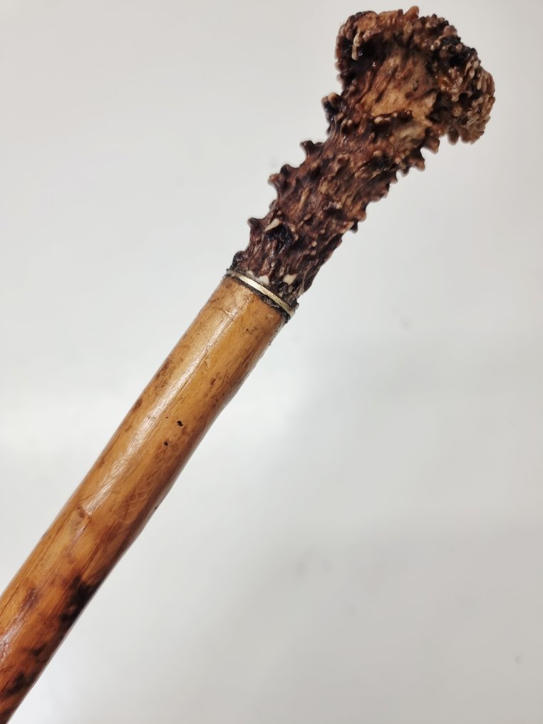 Sétabot - gewei, Fa #4.3