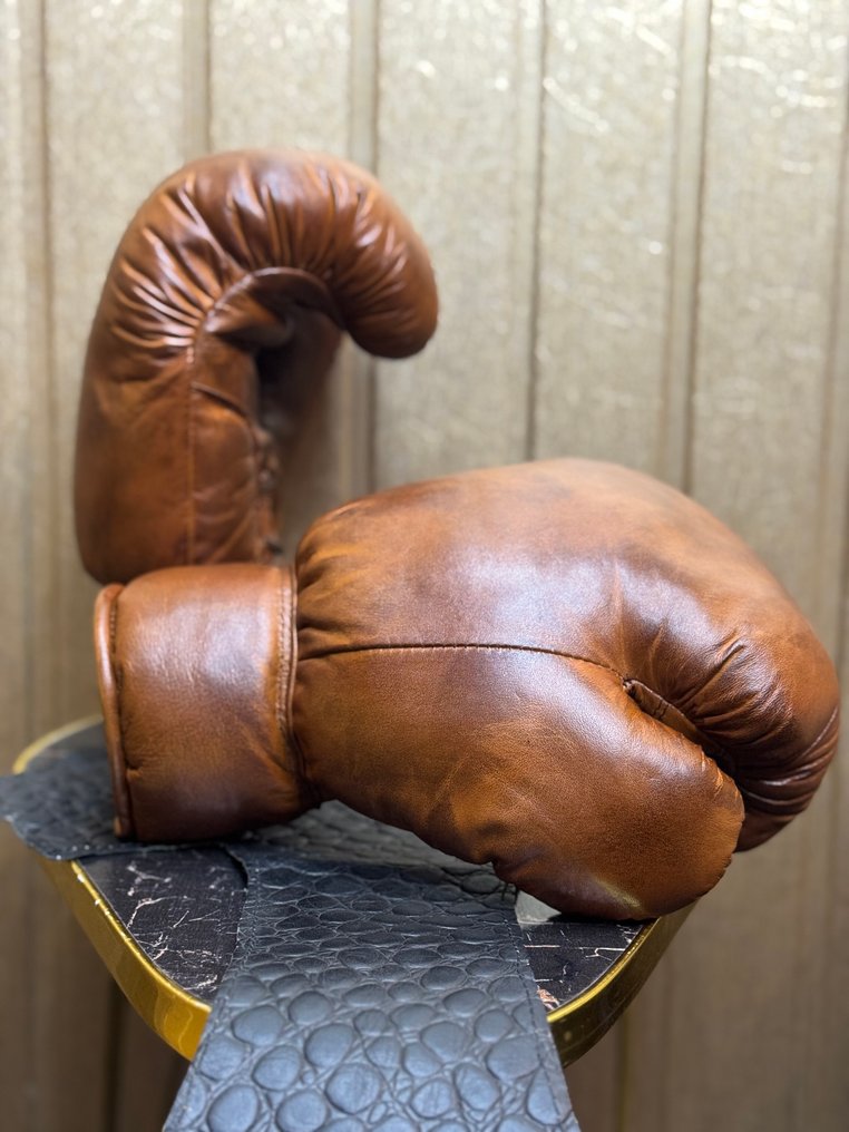 Boxe - 2025 - Luva de boxe #1.0