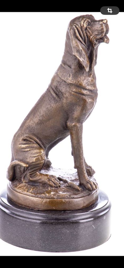小雕像 - Bronzefigur Hund 25CM - 青銅色, 大理石 #4.3
