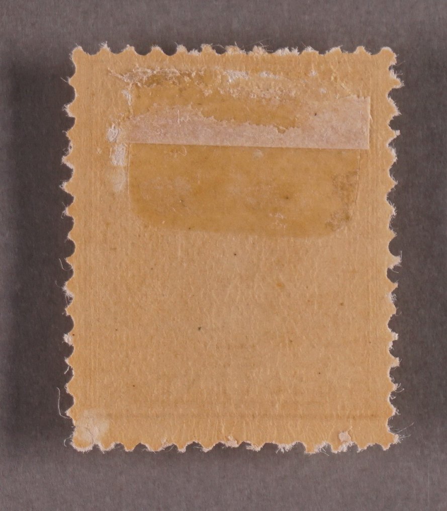 Netherlands 1891 - 50 Cent Princess Wilhelmina - NVPH 43 #1.0