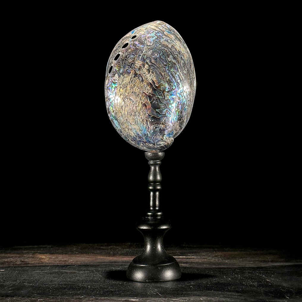 Ornamento decorativo - NO RESERVE PRICE - A pair of beautiful decorative items - Green Smithsonite Sphere and Abalone Shell #1.0