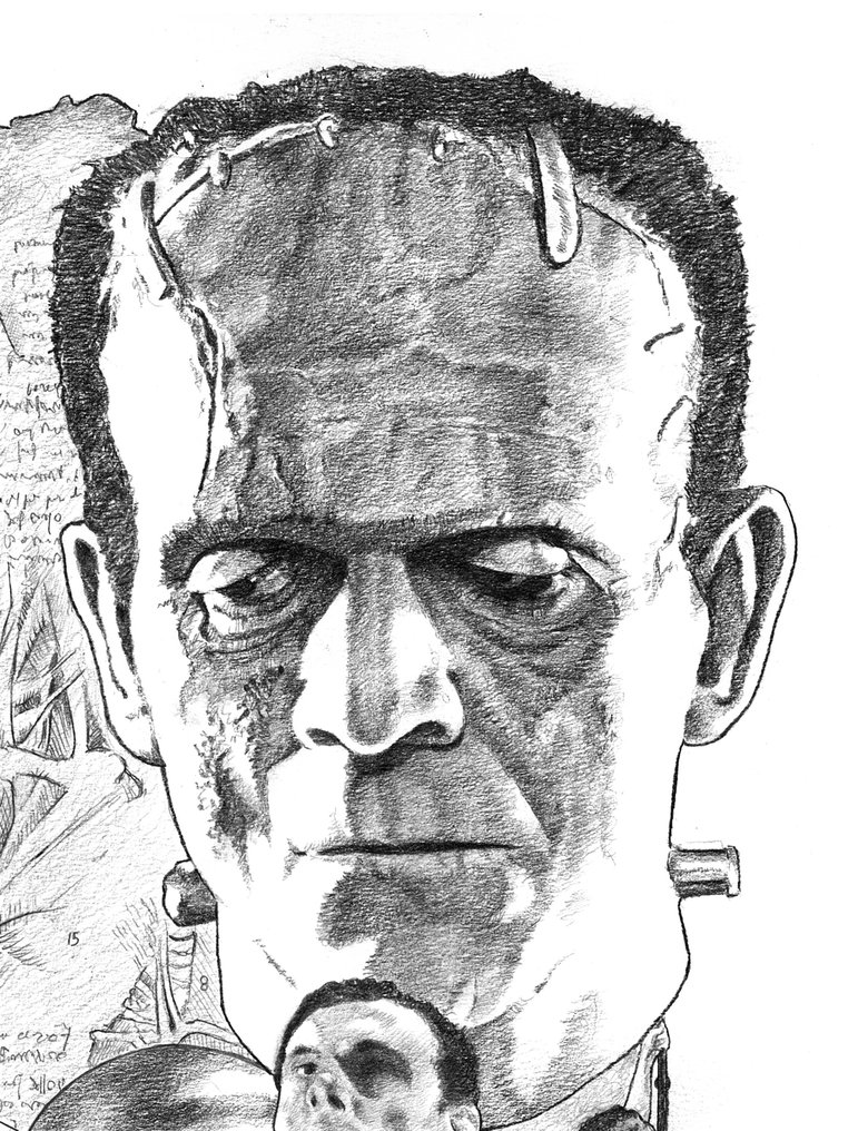 Oscar Garcia Calibos - Frankenstein - FRANKENSTEIN - Shadows of creation - Gicleé - 81/100 #4.3