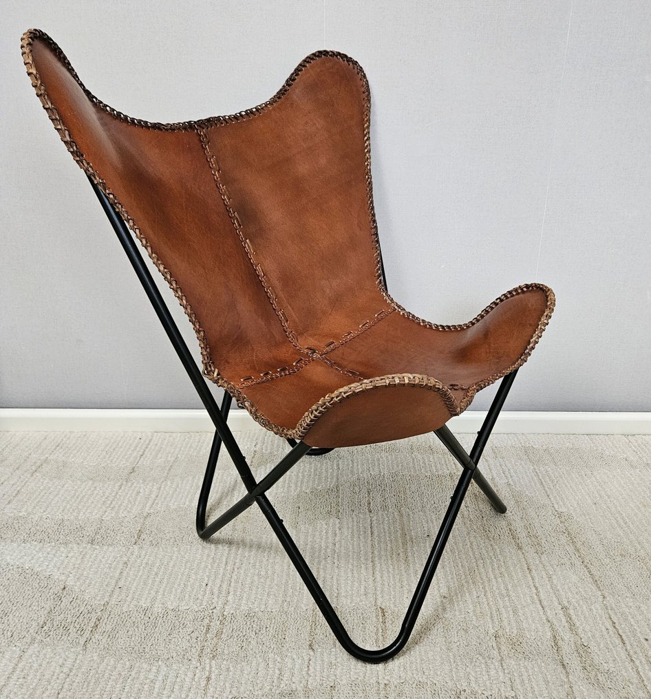 椅子 - (金属架)蝶形帆布躺椅 (3107) - 皮革, 金属 #2.1