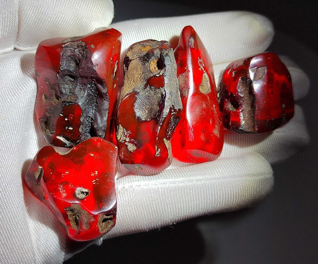 Dominican Amber!! High Quality - 175 carats - No Reserve Price - Amber (No reserve price) #4.3