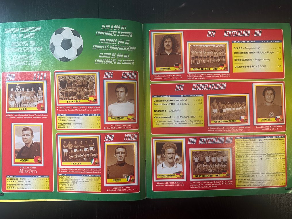 Panini Euro 96 - Including Original Orderform - Álbum completo - Casi impecable (CI) #3.2