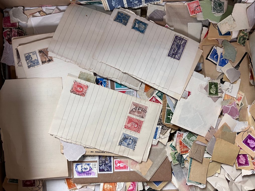 Κόσμος - Κουτί Ταξινόμησης Κόσμου #4.3