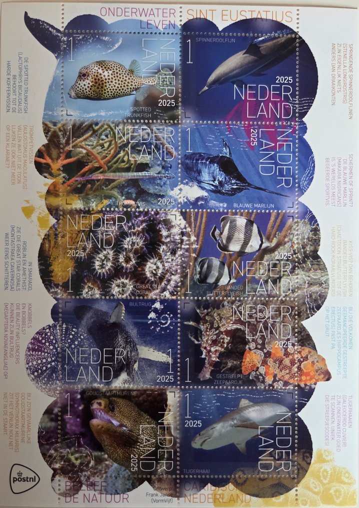 荷兰 2025 - Jaarcollectie #4.3