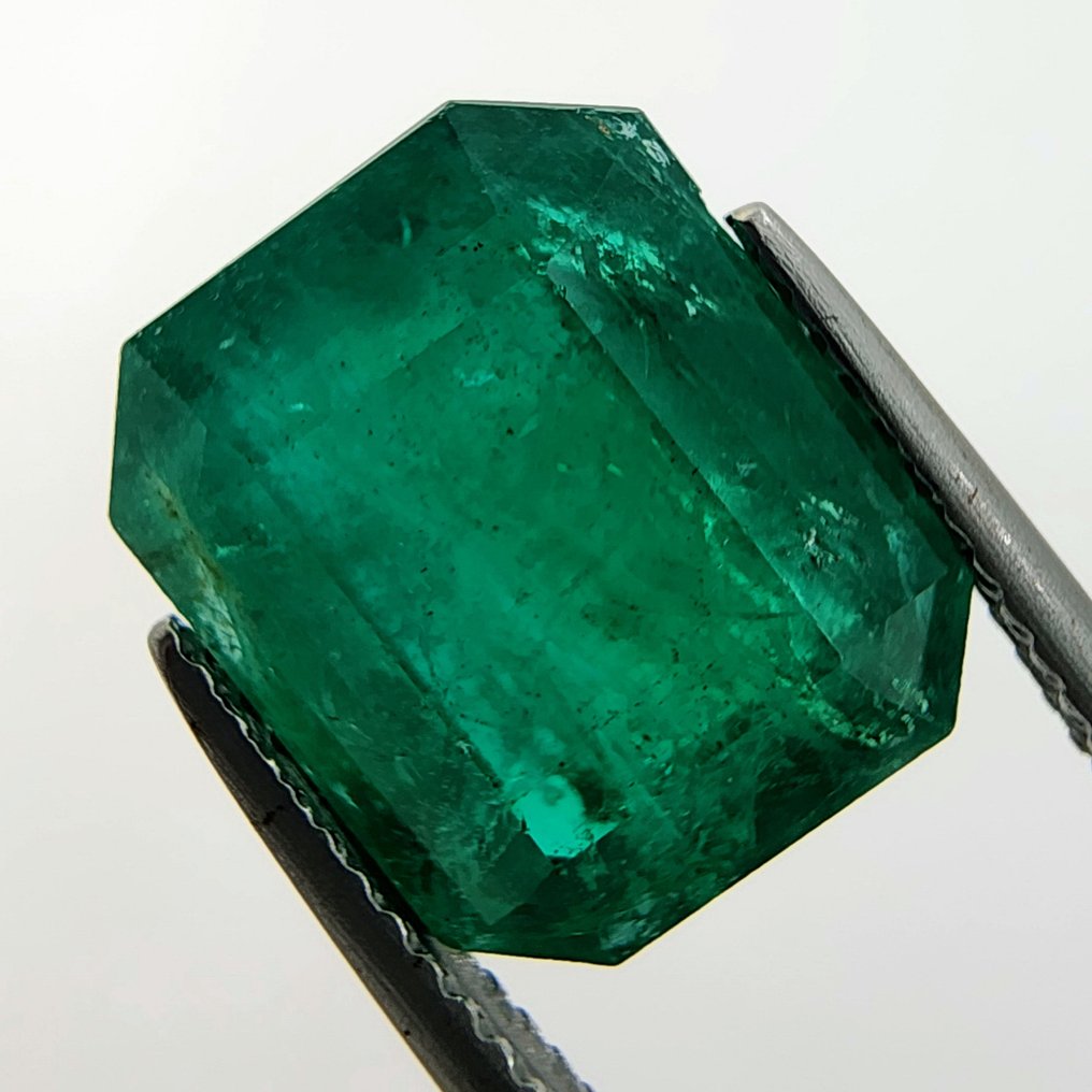 1 pcs  Grün Smaragd  - 8.03 ct - International Gemological Institute (IGI) - *Minor Oil* #1.0