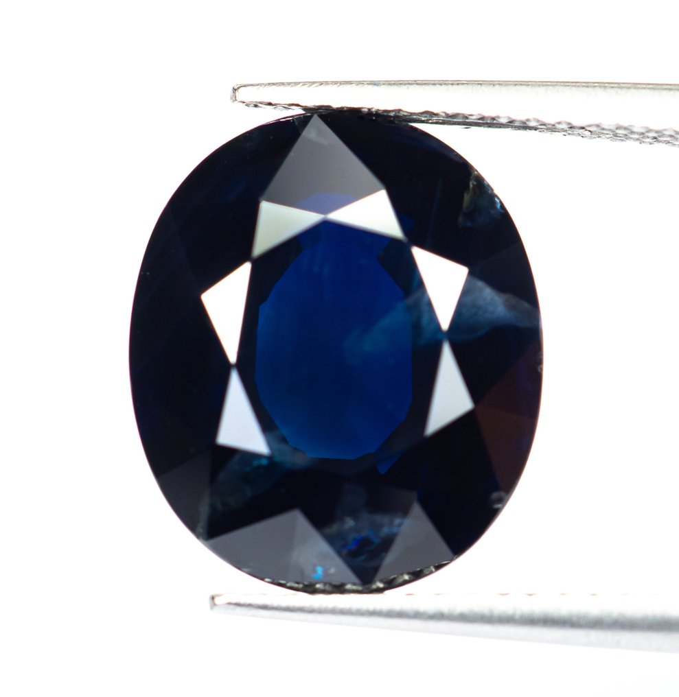 沒有保留價 藍寶石  - 11.55 ct - Lotus Gemology - Deep Blue #1.0