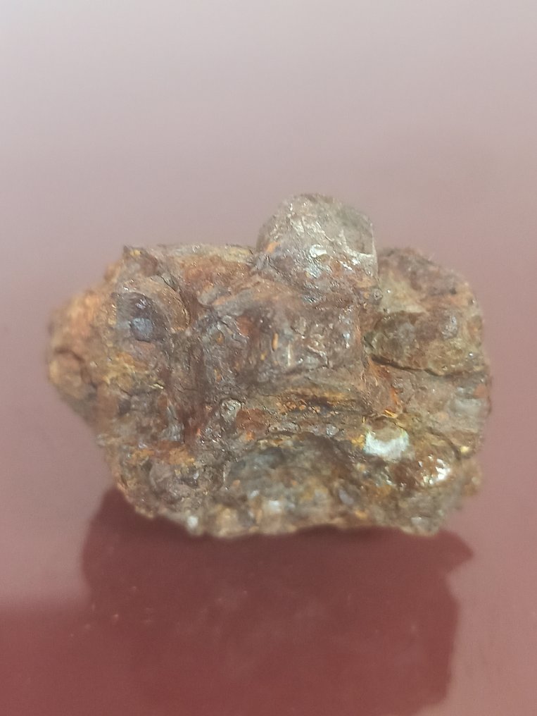 PALASITA SERICHO. Volledig exemplaar. Zonder reserveprijs!!! - 63.31 g #4.3