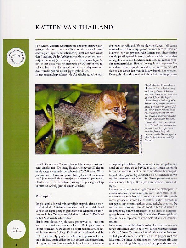 World 1991/2013 - Collection of mint series in 3 special WWF albums. #4.3