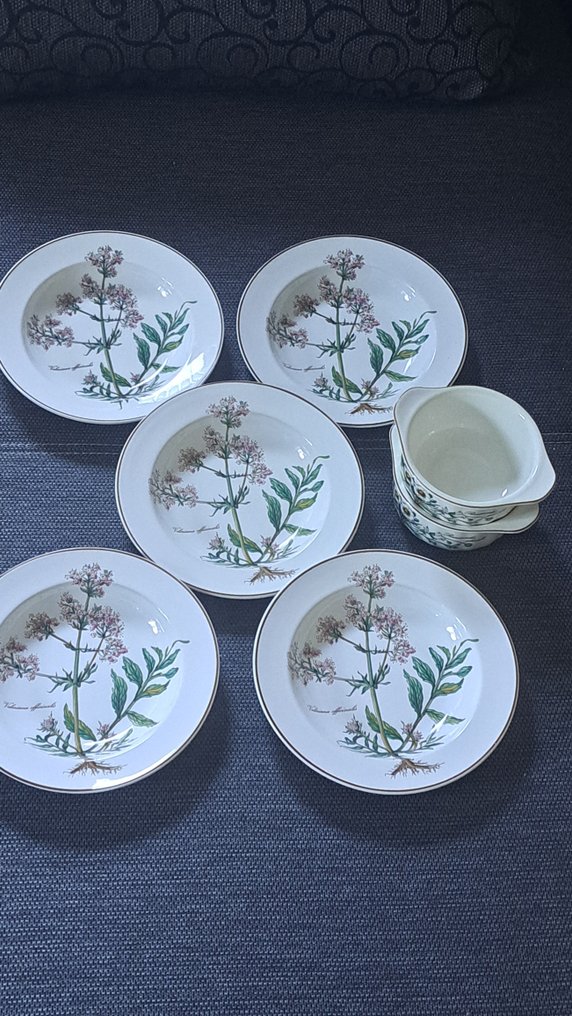 Villeroy & Boch - Dinner plate (7) - Botanica - Vitro-Porzellan - like new #1.0