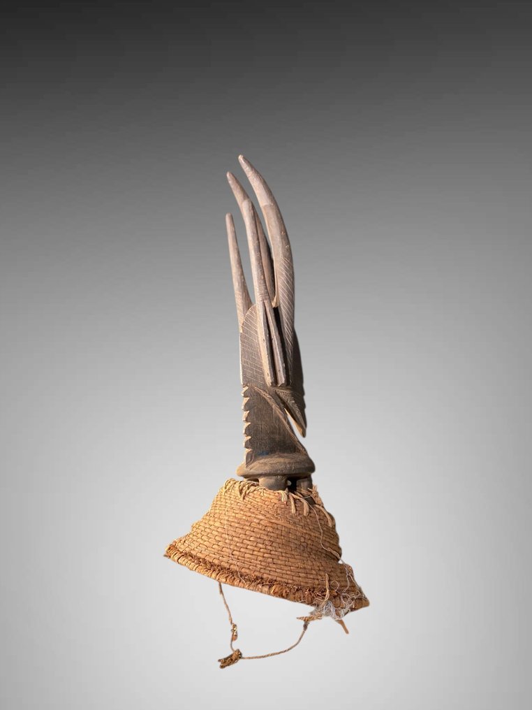 雕塑 Tiwara - 50 厘米 - 敬意 Tiwara - tiwara - 马里 #1.0