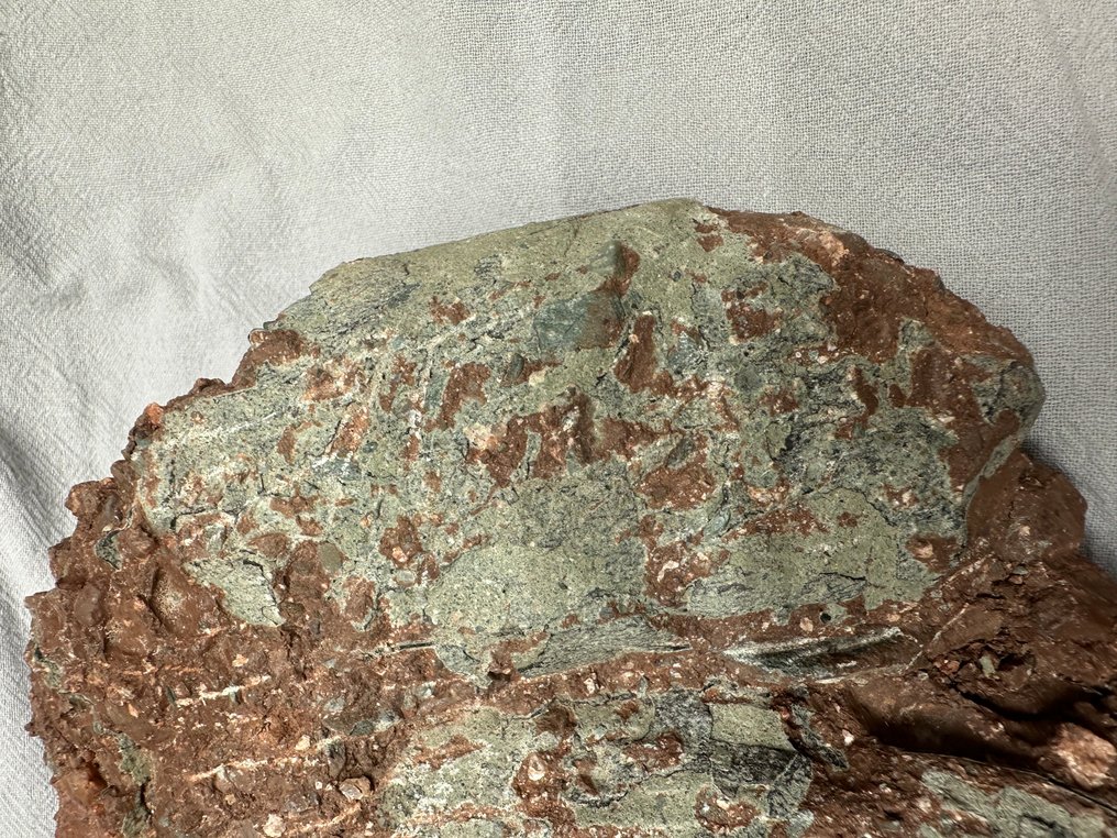 Fossil - Fossil matrix - Oviraptor sp. - 25 cm - 17 cm (No reserve price) #3.2