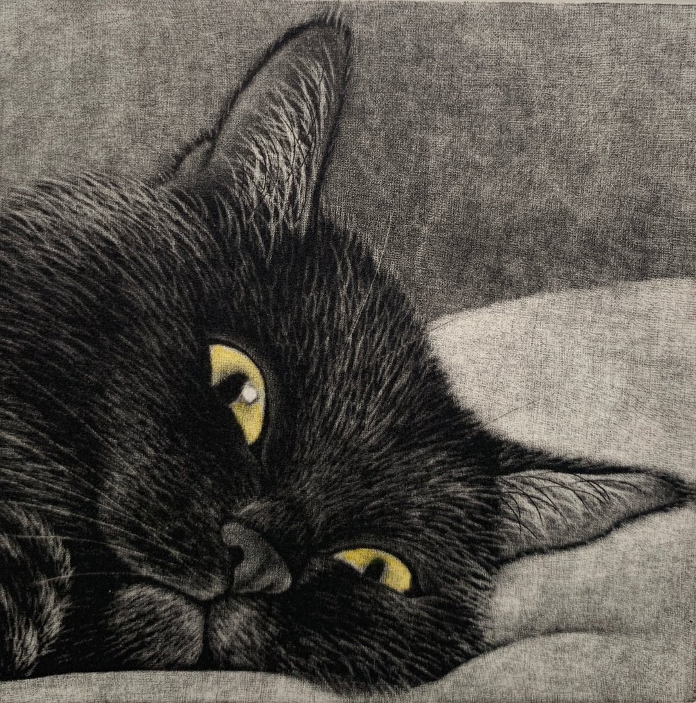 "Half a sleep, half awake" - Signed and numbered by the artist 47/50 - NO RESERVE ! - Emi Satō 佐藤恵美 (b 1973) - Japan  (Zonder minimumprijs) #1.0